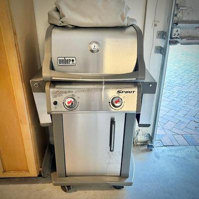 Weber "Spirit" grill