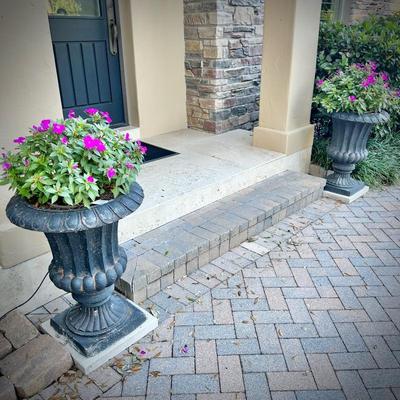 Four lightweight black planters - 2 with plants, and 2 without