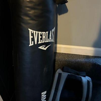 Everlast Punching Bag