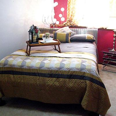 Modern Brushed Platinum Queen Bed / Mattress 