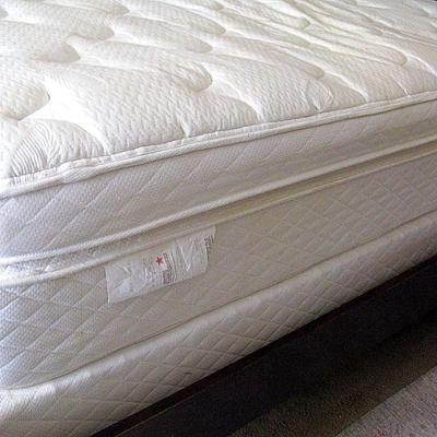 Modern Brushed Platinum Queen Bed / Mattress 