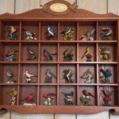 Backyard Birds Of North America - Full 24 Shelf Collection
