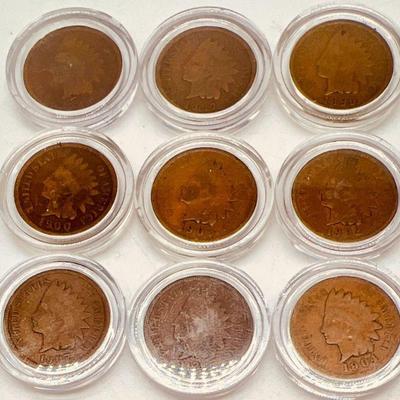 (9) Indian Head Pennies in Protective Cases
