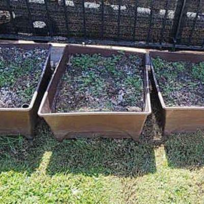 BEE185 - Planter Boxes with Soil