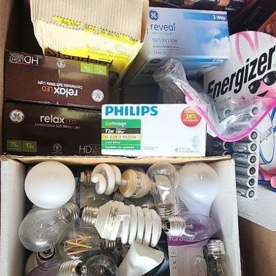 BEE018 - Batteries and Bulbs