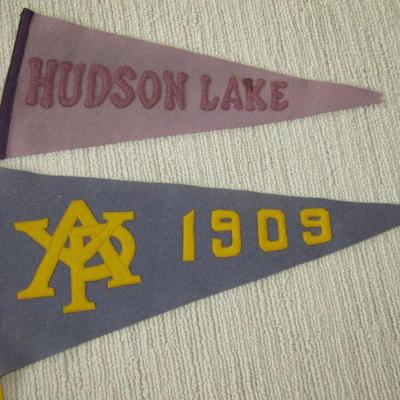 Alaska Yukon Pacific 1909 pennant