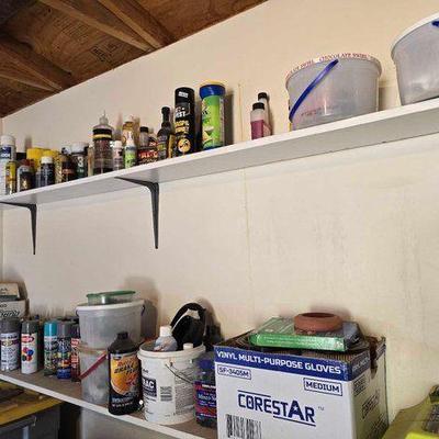 #2010 • Oils, Cleaners, Paints, and Fluids

