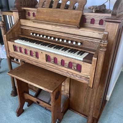 Organ