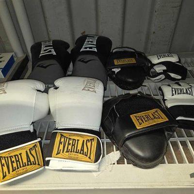 #7230 • Everlast Boxing Gloves, Hand Pads & Fight Gloves
