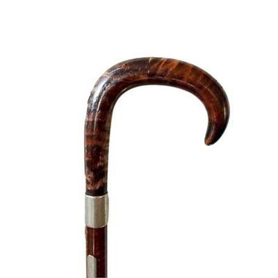 Antique Sterling Mounted Monogrammed Plate Cane