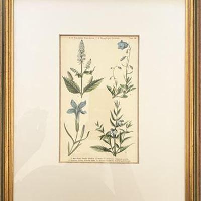 Sommer- und Herbstblumen, By Schuhmacher, H 1928 Print