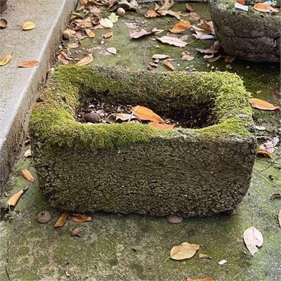 Moss Covered Cement Trough Planter