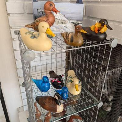 Ducks!