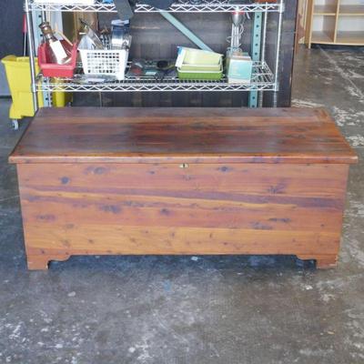 Large Cedar Trunk