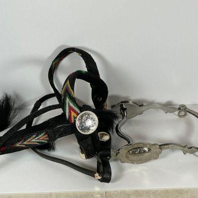 Silver Show Bridle