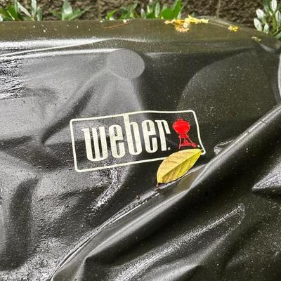Propane Weber BBQ