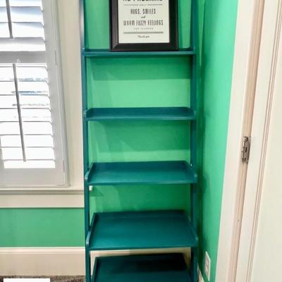 Teal bookcase