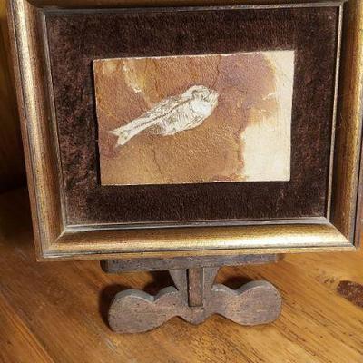 Fossil