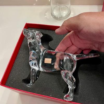 Baccarat Crystal Labrador Dog 