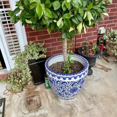 We have a wonderful collection of outdoor furniture, accessories, statues, pots, benches, a Weber grill with copper color steel case, two...