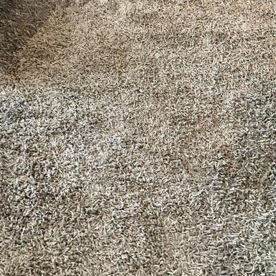 Gray shag carpet, like new