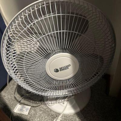 Fan