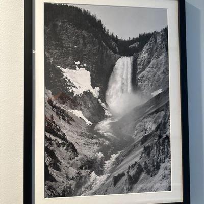Photograph