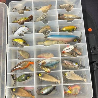 Fish lures