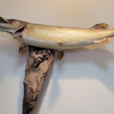 Fish Mount 