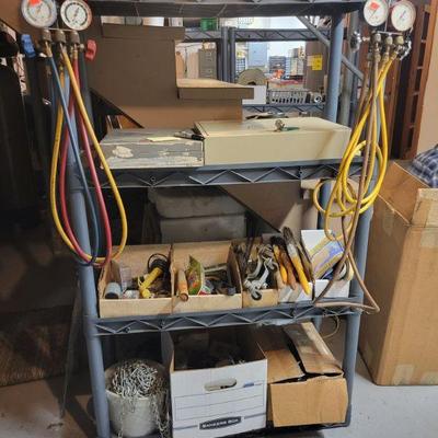 Manifolds 