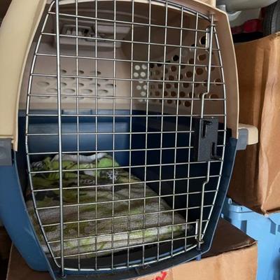 Kennels 