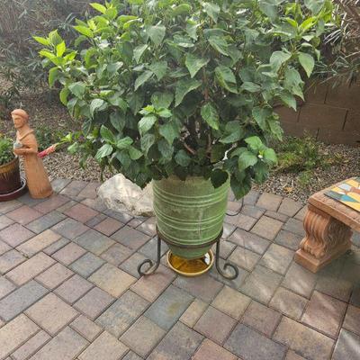 Outdoor Pottery