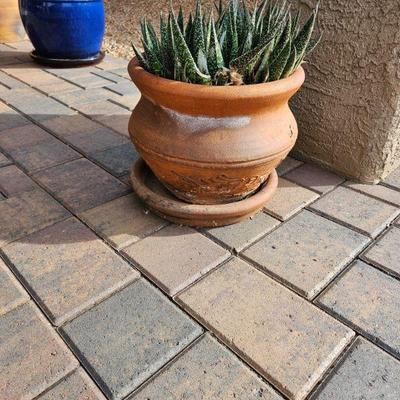 Outdoor Pottery