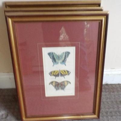 Framed and Matted