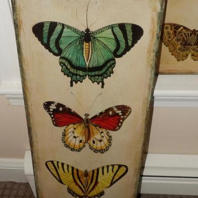 Colorful Butterflies
