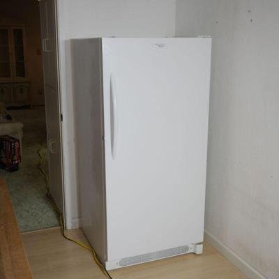 Frigidaire Electrolux Freezer