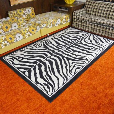 Vintage Zebra Rug