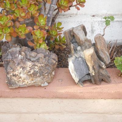 Pair of Interesting Garden Rocks/Petrified Wood