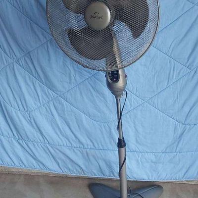 Wind Chaser Standing Fan