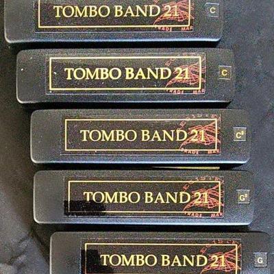 MHT016 - Combo Band 21 Harmonica Set (5)