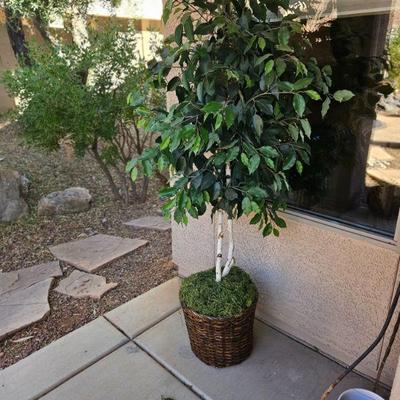 Tree