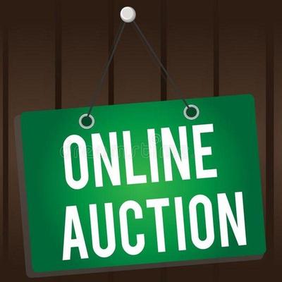 Clark county online public auction