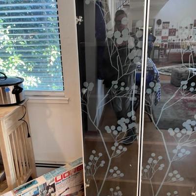 Glass Front Closet