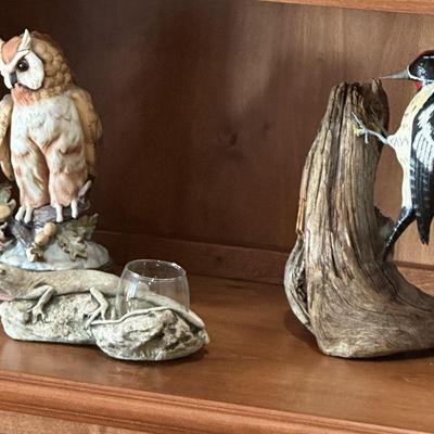Owl and woodpecker