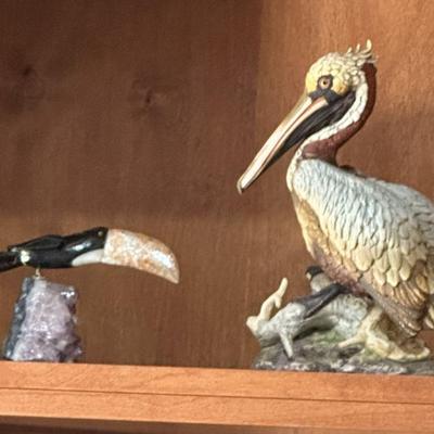 Brown pelican by Andrea and Toucan