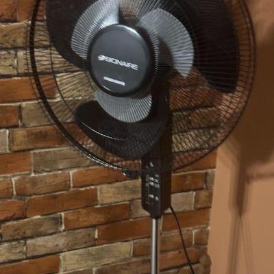 Nice fan