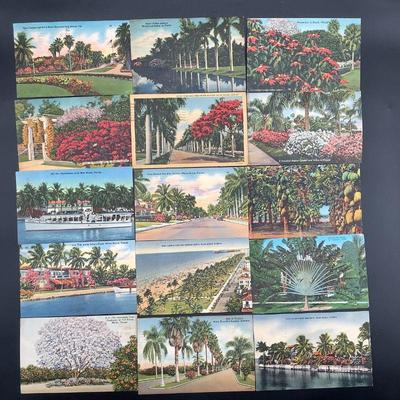 1940s Florida Postcards