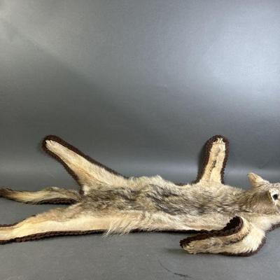 Lot 168 | Taxidermy Coyote Rug
