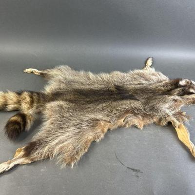 Lot 169 | Taxidermy Raccoon Rug

