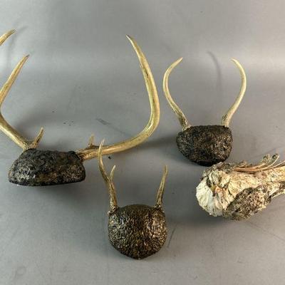 Lot 177 | Antlers & Wooden Bird
